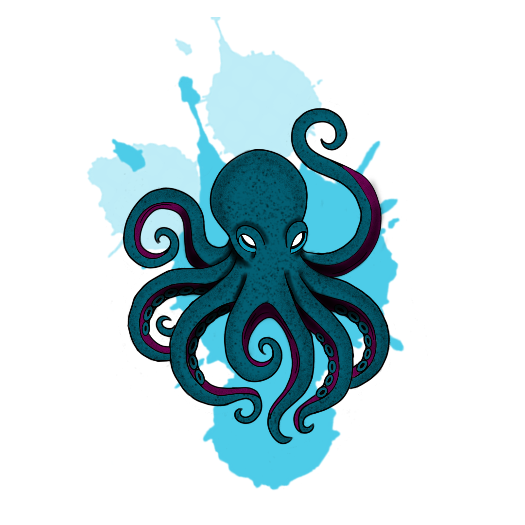 Octopus flash