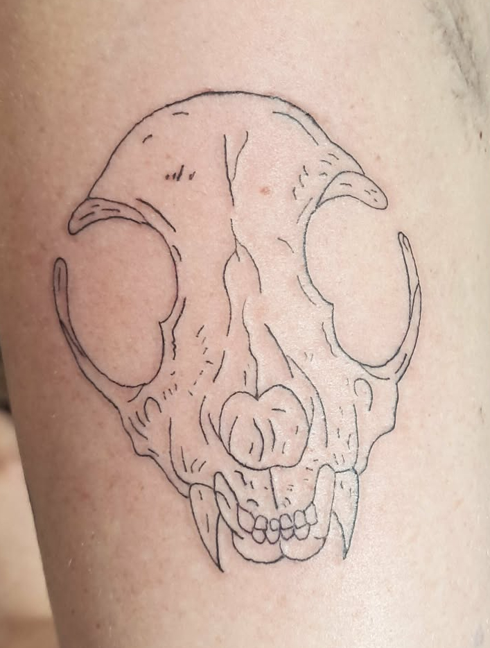 Cat skull tattoo